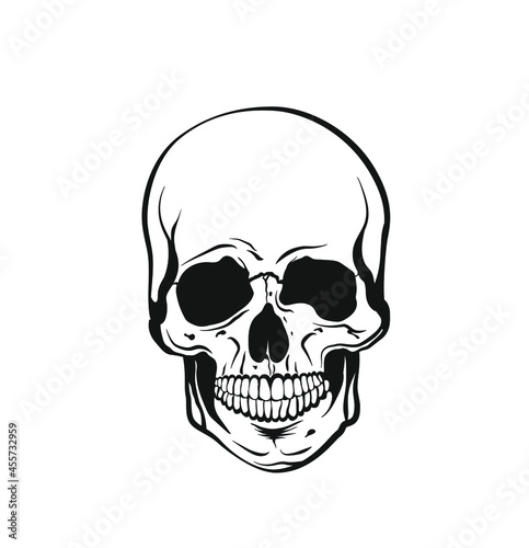 Vector black and white illustration of a human skull with a lower jaw in ink hand drawn style. © Jackson Cadillac