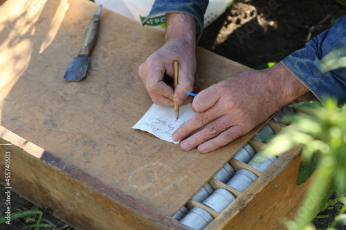 A scientist examines the soil in a field with hemp using a drill.