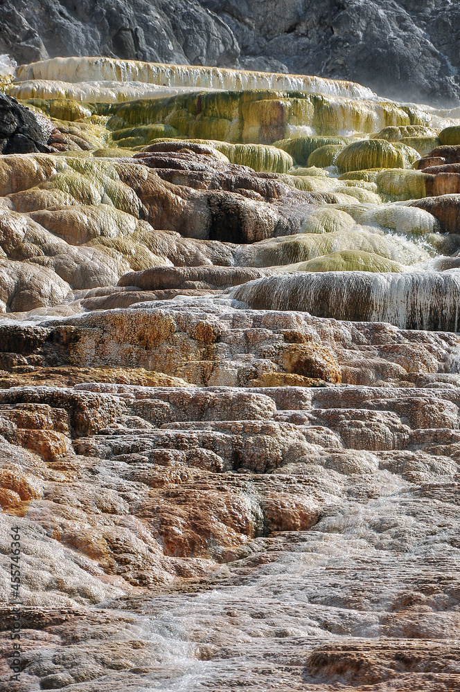Mammoth Hot Springs in Yellowstone National Park, Wyoming, USA. 