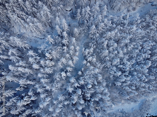 Winter aerial view of Lanzo Valley in Italy covered with fresh snow