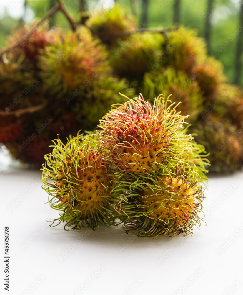 rambutan three fruits hairy asia fruit on blurry background of fruit branches rambutan three fruits hairy asia fruit on blurry background of fruit branches