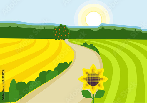 Vector illustration of a rural landscape with green and yellow fields, blue sky, winding road and forest.