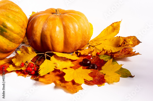 Autumn art composition - varied dried leaves, pumpkins, fruits, rowan berries on white background. Autumn, fall, halloween, thanksgiving day concept. Autumn still life.