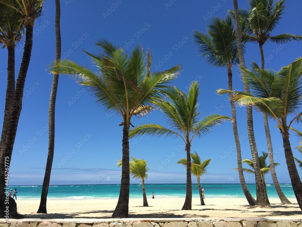 Fototapeta premium Punta Cana, Reública Dominicana