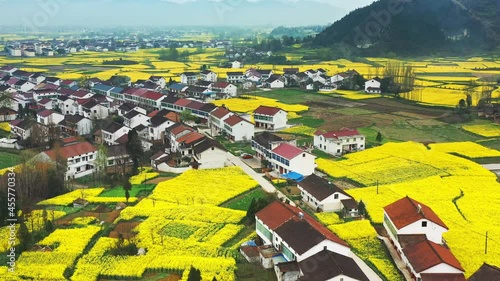 The train for spring