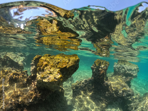 Fototapeta Naklejka Na Ścianę i Meble -  Underwater world of Mediterranean Sea. Near Marmaris, Turkey