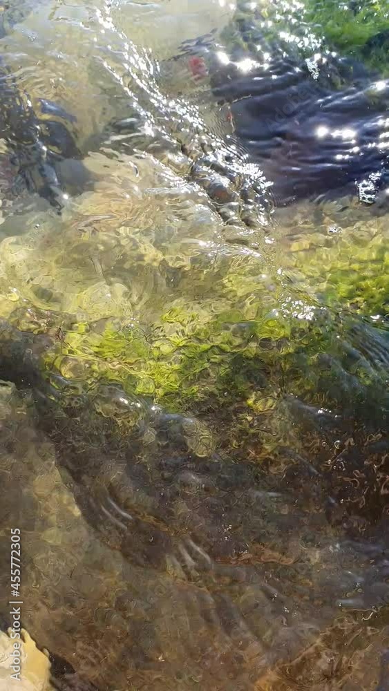 The clear sea water ripples over the algae-covered rock on a sunny day. Glare on the water, a peaceful social media background The clear sea water ripples over the algae-covered rock on a sunny day. Glare on the water, a peaceful social media background