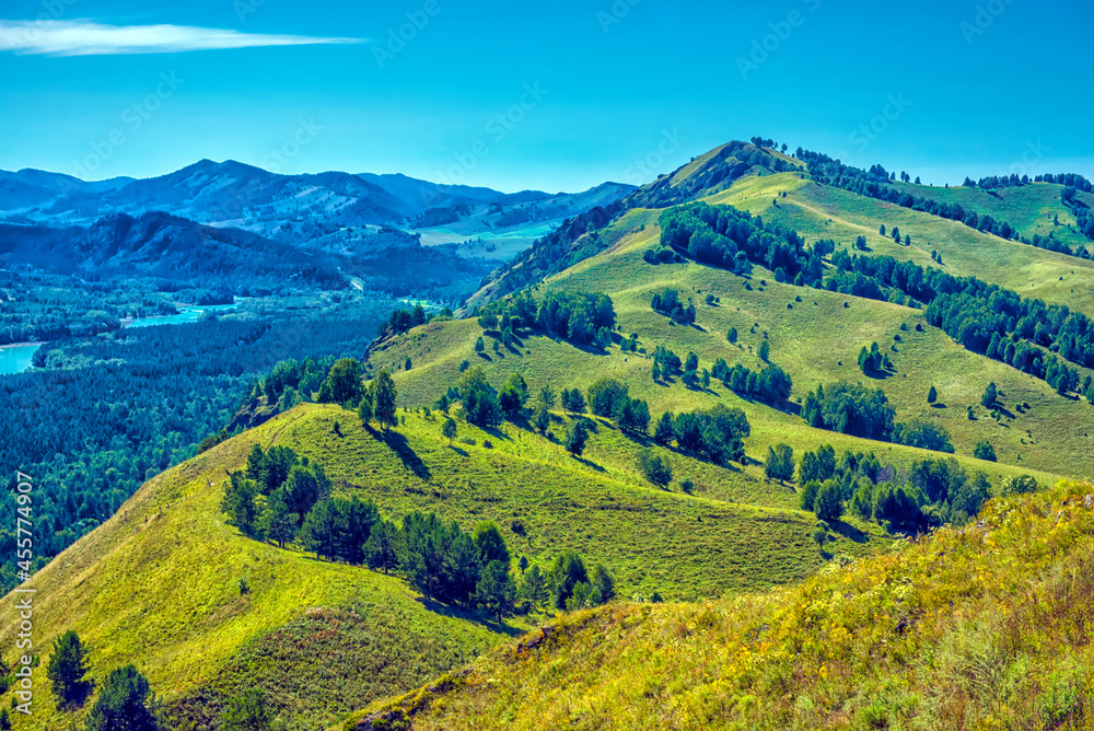 Summer landscape with hills and mountains of the Altai.