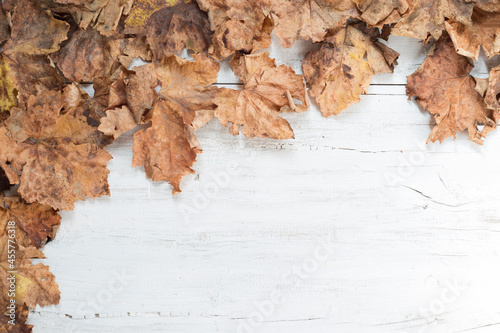 White wooden board with dry vine leaves