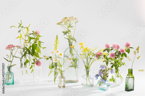 Wild field herbs in bottles of different shapes on a white-gray background as a decoration. Card, Bottle of essential oil with herbs on white background photo