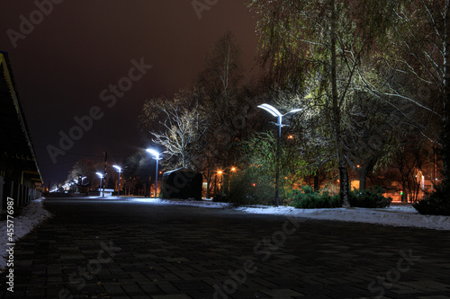A number of lights on the embankment or on the bridge at night in winter © MaksimM