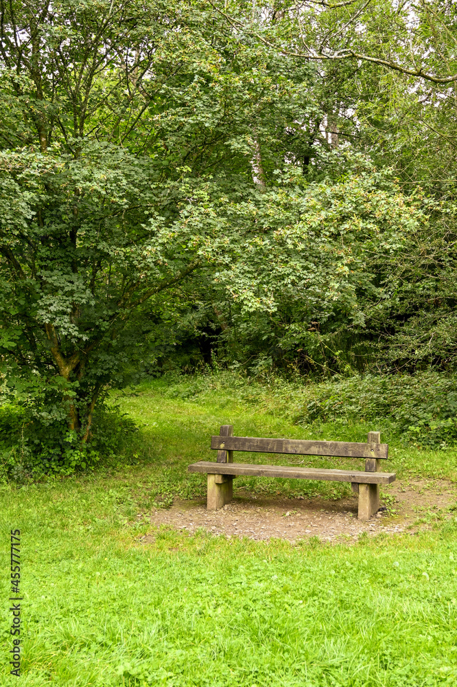 Wooden bench in a woodland area. No people. Wooden bench in a woodland area. No people.