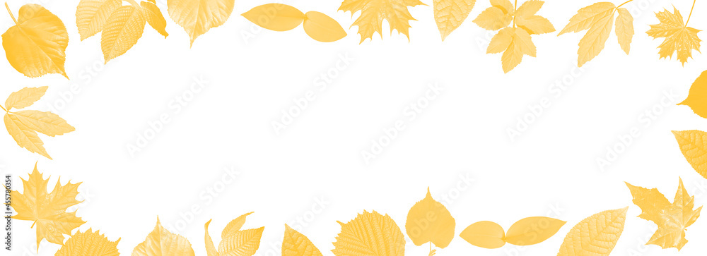 Autumn. Leaves are falling. On white background. Frame made from autumn leaves.