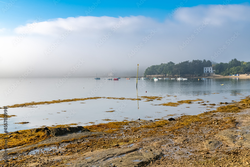 Brittany, Ile aux Moines island in the Morbihan gulf, the Port-Miquel beach in the mist
