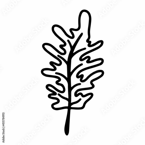 Vector wild tropical leaf isolated on white background. Oak leaf coloring and cute illustration for seasonal design, textile, decoration kids playroom or greeting card. Hand drawn prints and doodle.