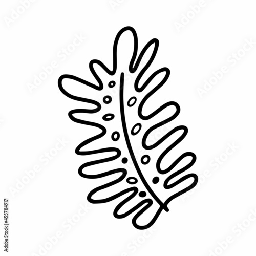 Vector wild tropical leaf isolated on white background. Funny coloring and cute illustration for seasonal design, textile, decoration kids playroom or greeting card. Hand drawn prints and doodle.