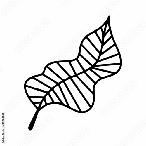 Vector wild tropical banana leaf isolated on white background. Funny coloring and cute illustration for seasonal design, textile, decoration kids playroom or greeting card. Hand drawn doodle prints.