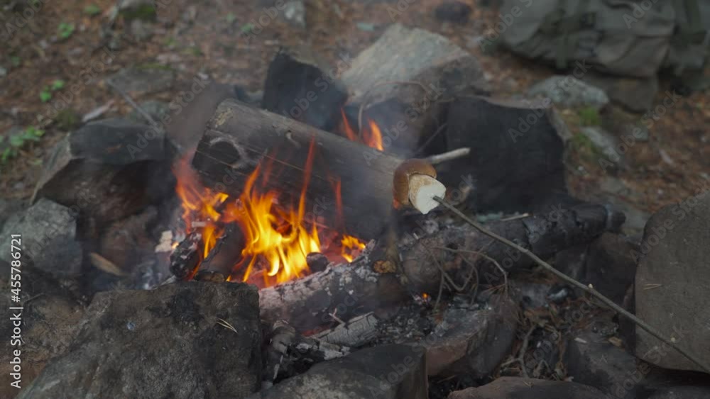 forest mushroom on a stick is cooked over a fire forest mushroom on a stick is cooked over a fire