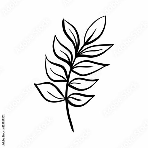 Vector tropical branch with leaves, ink element isolated on white background. Funny illustration for seasonal design, textile, decoration kids playroom or greeting card. Hand drawn prints and doodle.