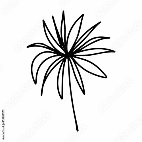 Vector tropical coconut leaf isolated on white background. Funny coloring and cute illustration for seasonal design, textile, decoration kids playroom or greeting card. Hand drawn prints and doodle.