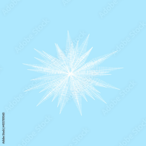 Abstract Christmas New Year blue snowflake on a white background
