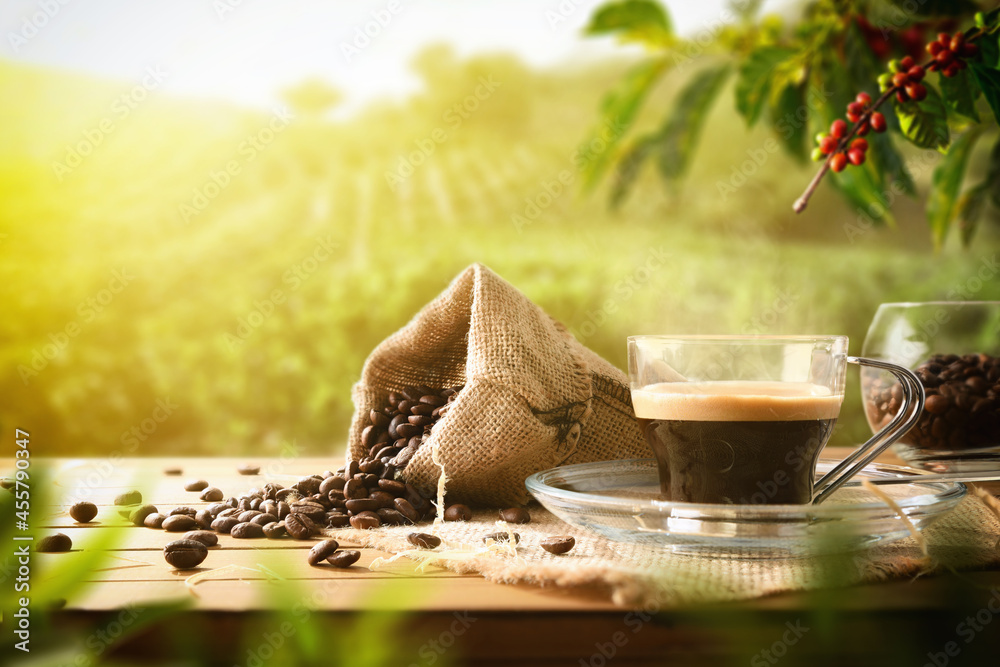 Coffee cup on wooden table and beans in coffee plantation - obrazy, fototapety, plakaty 