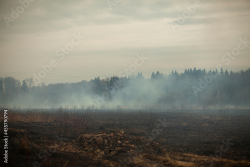 Smoke in the field. Smoke in the woods. A fire in nature. © Олег Копьёв