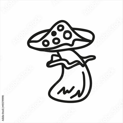Vector fly agaric, amanita, poisonous mushroom isolated on white background icon. Illustration for seasonal design, textile, decoration kids playroom or greeting card. Hand drawn prints and doodle.