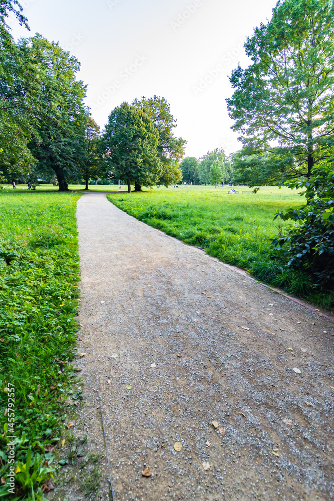 Road in park Road in park