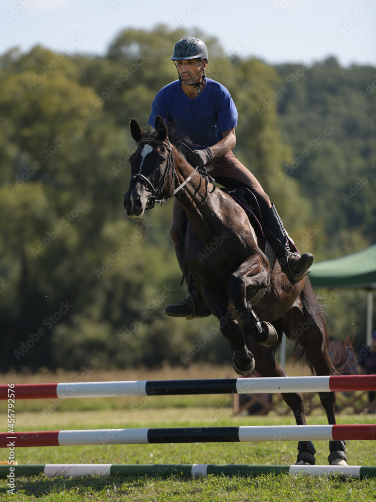show jumping rider show jumping rider