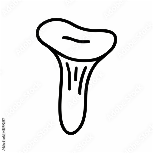 Vector chanterelle mushroom, wild raw vegan food isolated on white background icon. Illustration for seasonal design, textile, decoration kids playroom or greeting card. Hand drawn prints and doodle.