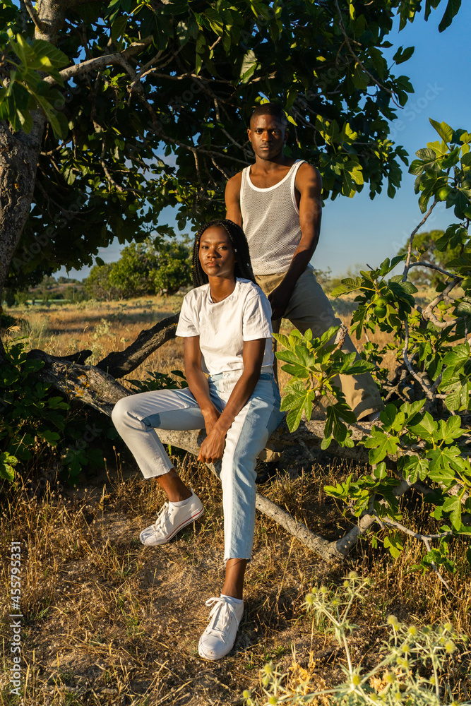 Portrait Of A Black Couple On A Tree At Sunset. Portrait Of A Black Couple On A Tree At Sunset.