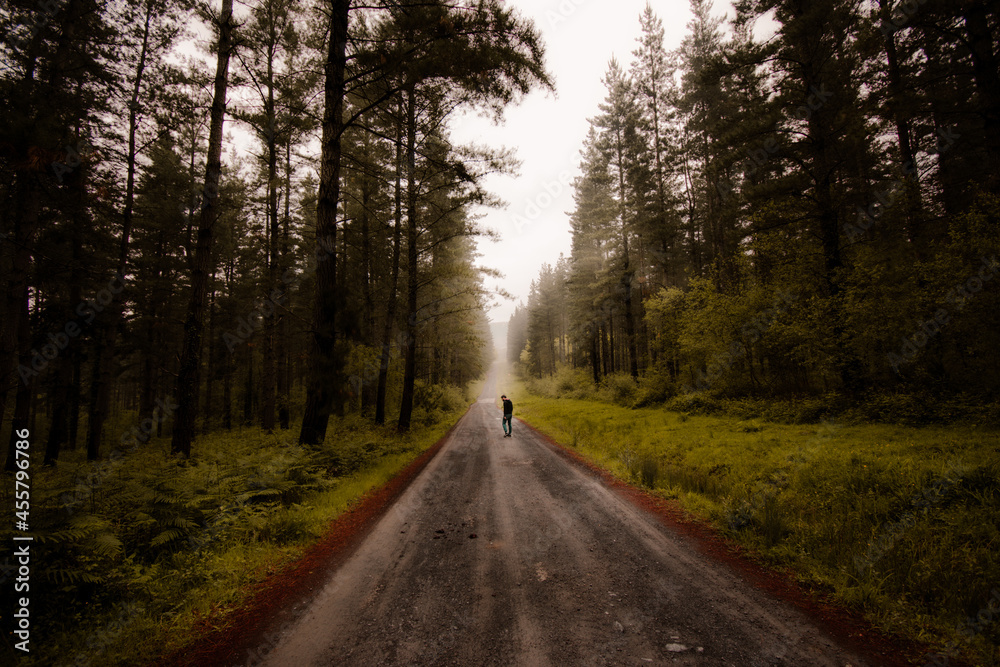 Obraz premium Un hombre pasea por un bosque de pinos verdes en Goikomendi, País Vasco. A man walking along a green pine forest in Goikomendi, Basque Country