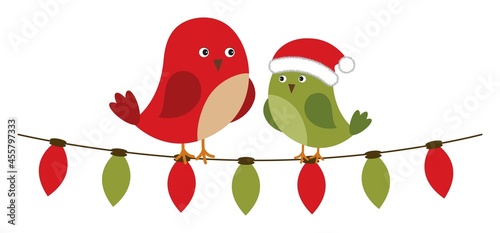 Cute Birds Sitting on the Christmas Lights String