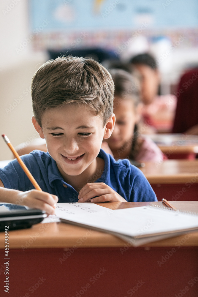School: Cheerful Student Sitting At School Desk School: Cheerful Student Sitting At School Desk