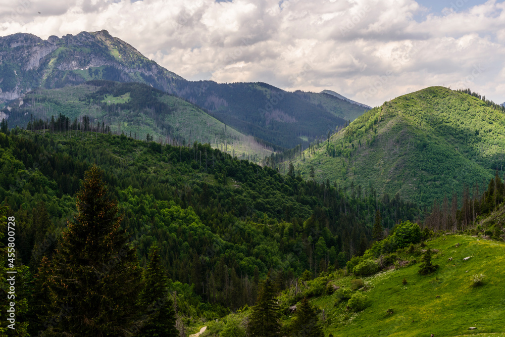 Tatra mountain during summer time
