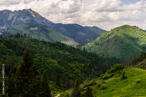 Tatra mountain during summer time