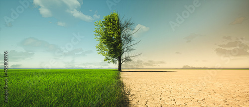 Photo Climate change from drought to green growth