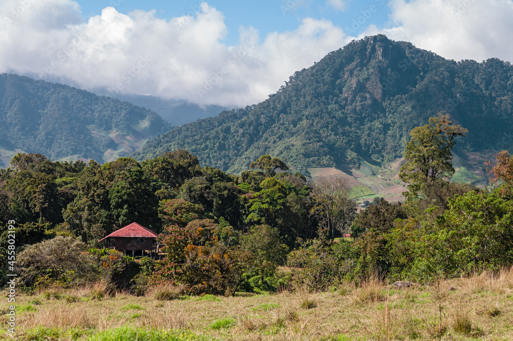 Nature scenery in Cerro Punta located in the Chiriqui province of Panama. Cerro punta is an important agricultural area. Nature scenery in Cerro Punta located in the Chiriqui province of Panama. Cerro punta is an important agricultural area.