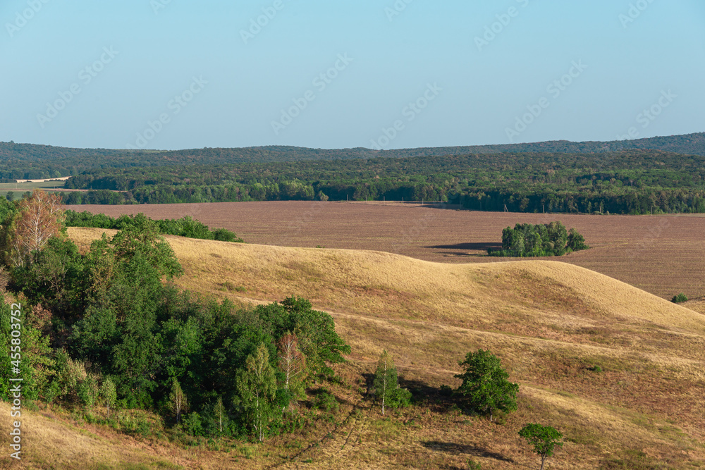Landscape of fields and hills with trees. View from the mountain.