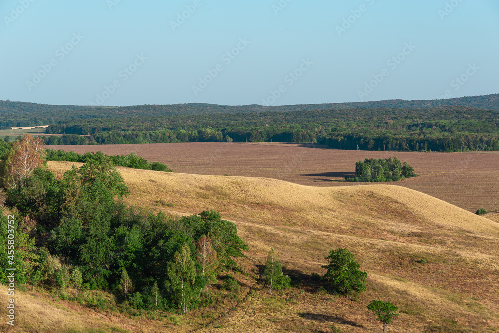 Fototapeta premium Landscape of fields and hills with trees. View from the mountain.