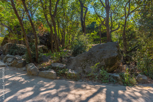 Alupkinsky Park (also known as Vorontsov Park) photo