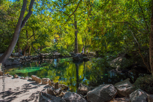 Alupkinsky Park (also known as Vorontsov Park) photo