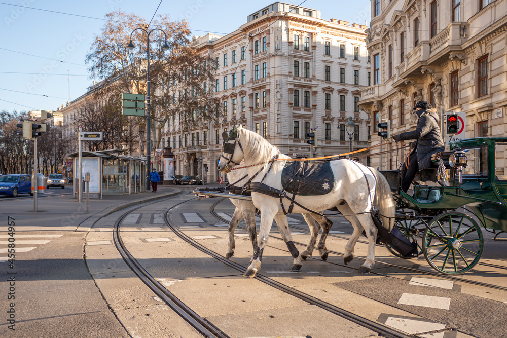 Green buggy with white horses driving through the center of Vienna Green buggy with white horses driving through the center of Vienna