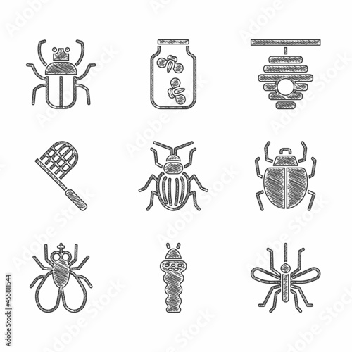 Set Chafer beetle, Larva insect, Mosquito, Mite, Insect fly, Butterfly net, Hive for bees and Stink bug icon. Vector