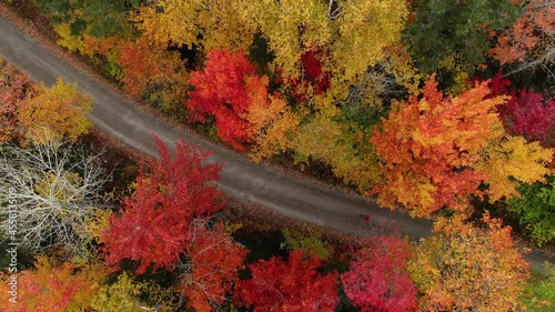 Woman walking through fall foliage in New England