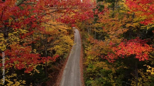 Woman walking through fall foliage in New England
