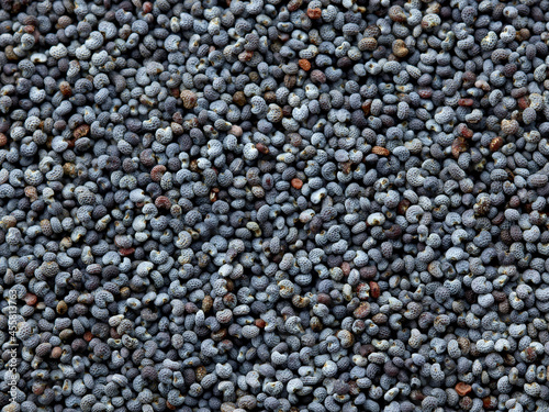 poppy seeds background