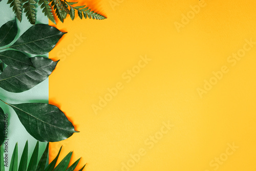 Creative Summer Frame Of Layout Green Leaves