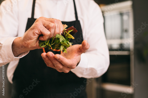 Crop chef pressing herbs  photo